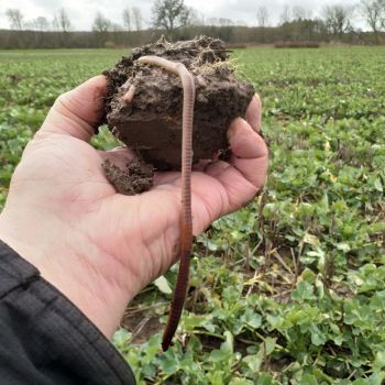 Åbent Landbrug iNordsjælland
